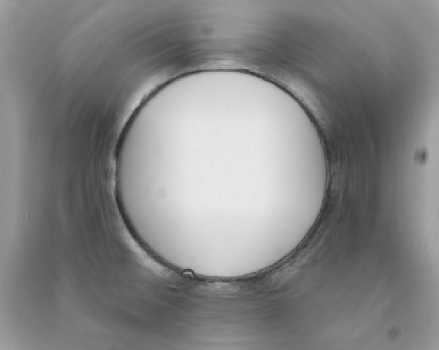 X0000090751476200708172018