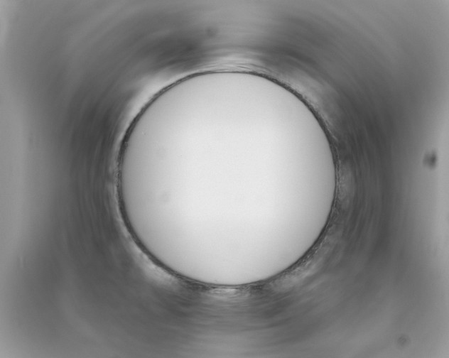 X0000090751478200708172018