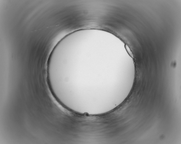 X0000090751479200708172018