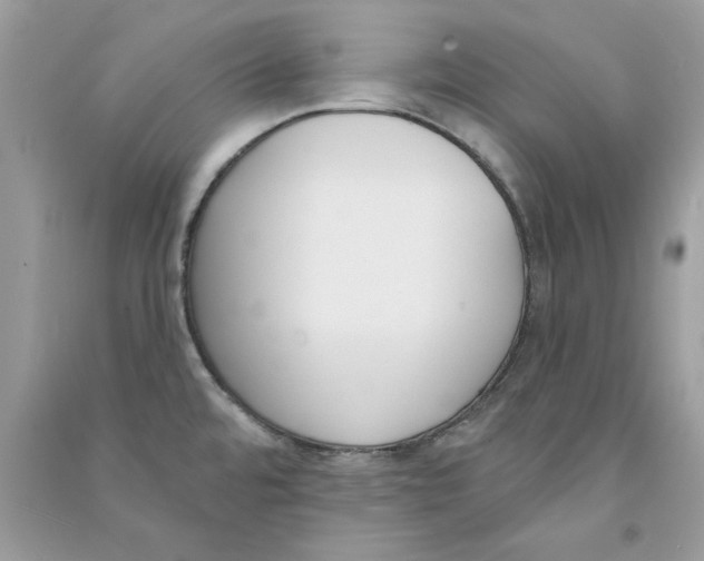 X0000090751480200708172018