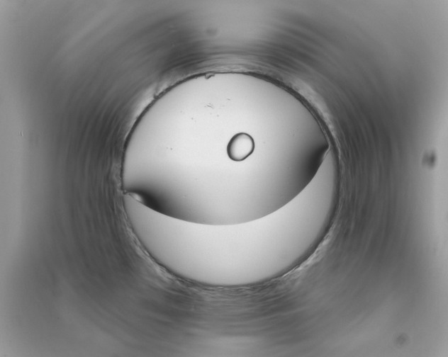X0000090751481200708172017