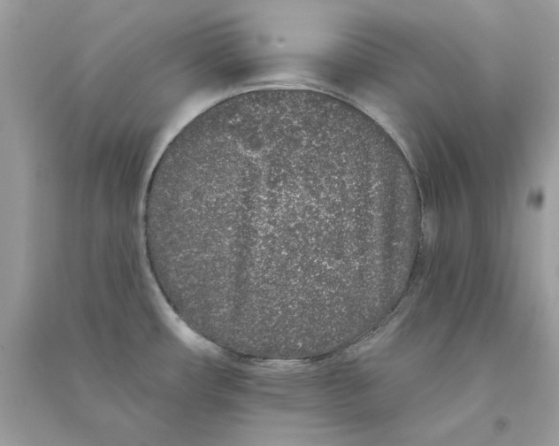 X0000090751482200708172017