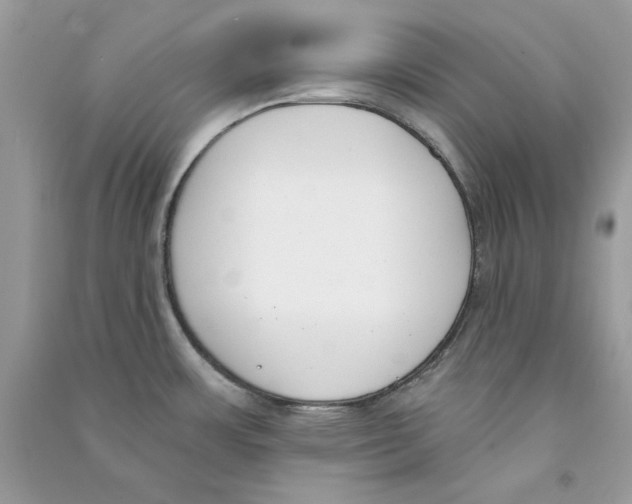X0000090751483200708172017