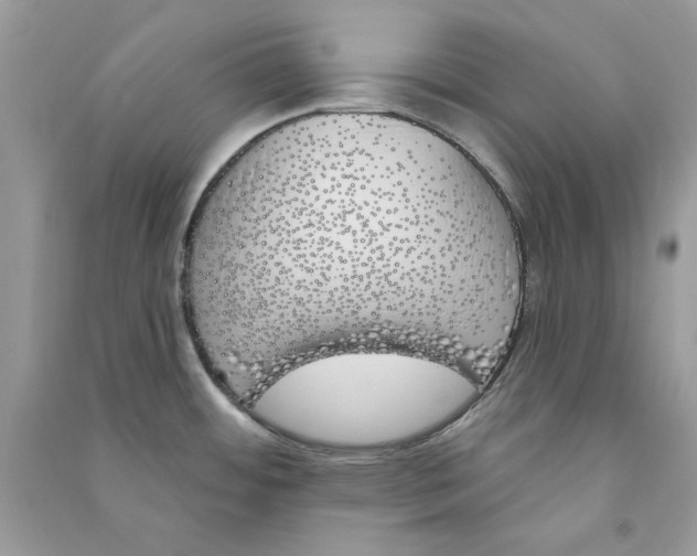 X0000090751484200708172017
