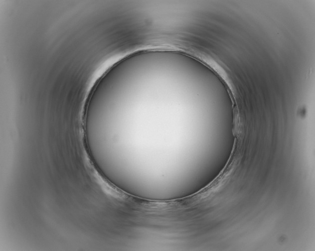 X0000090751485200708172017