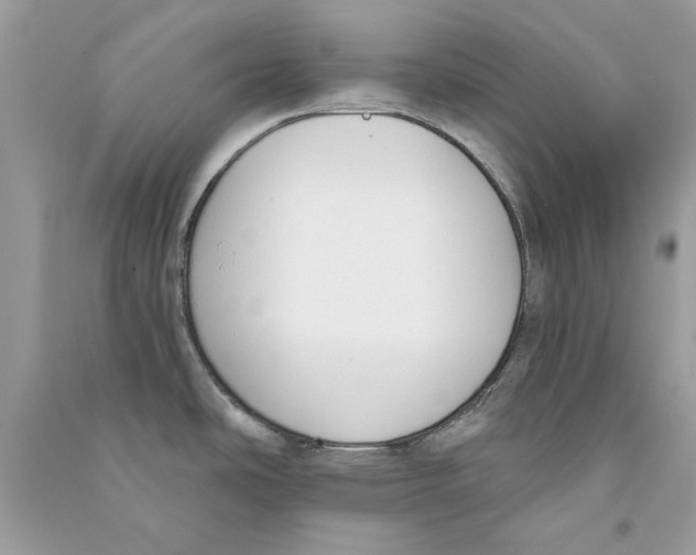 X0000090751486200708172017