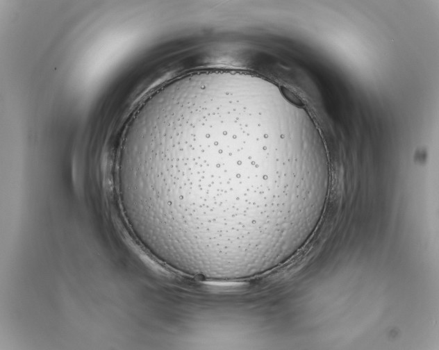 X0000090751487200708172017
