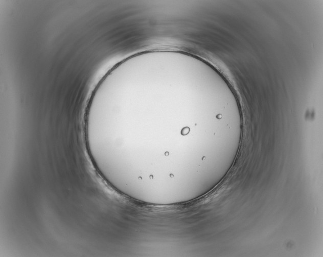X0000090751488200708172017