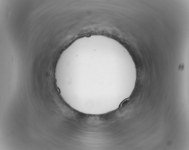 X0000090751489200708172017