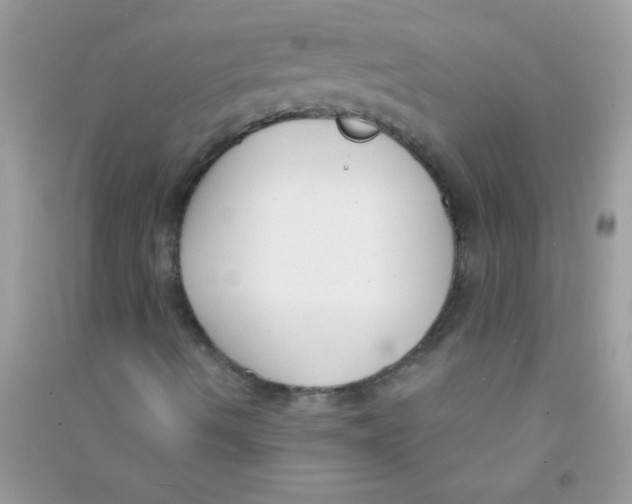 X0000090751490200708172017
