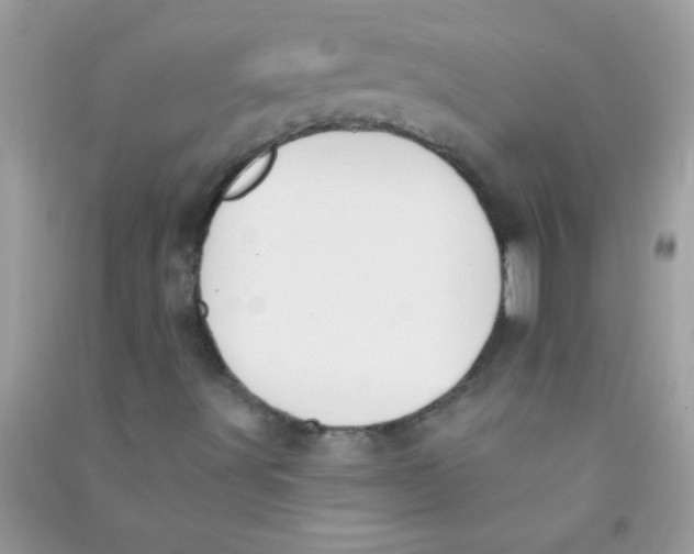 X0000090751491200708172017