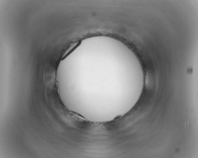 X0000090751492200708172017
