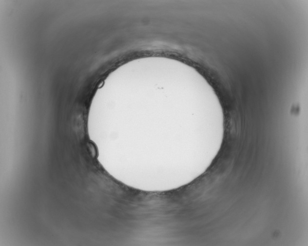 X0000090751493200708172017