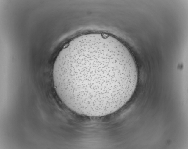 X0000090751494200708172017
