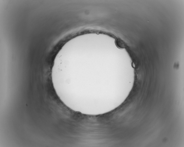 X0000090751495200708172017