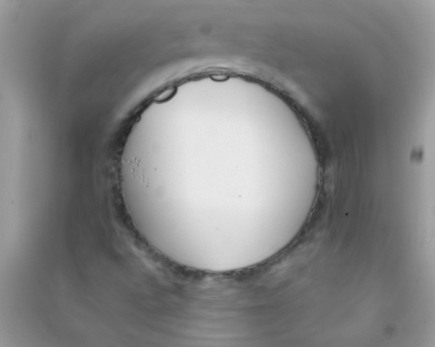 X0000090751496200708172017