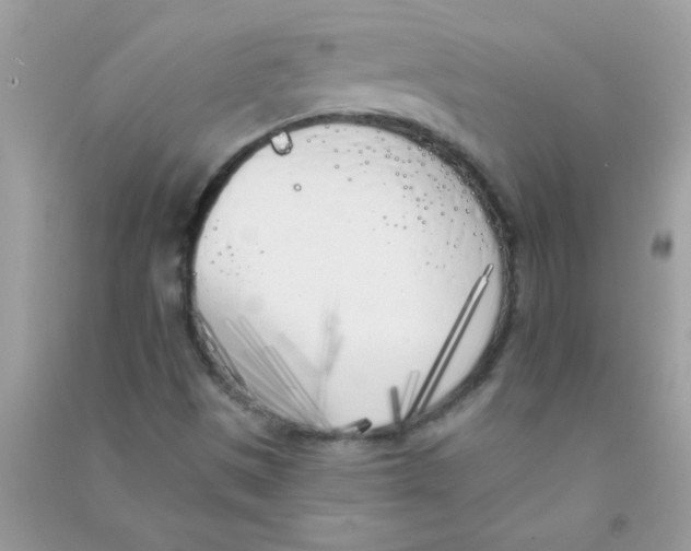 X0000090751497200708172017