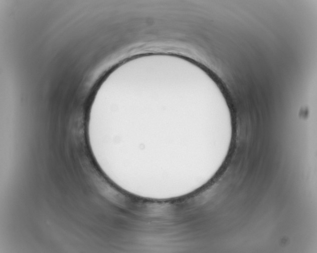 X0000090751498200708172017