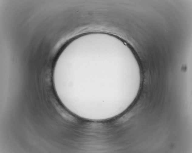 X0000090751499200708172017