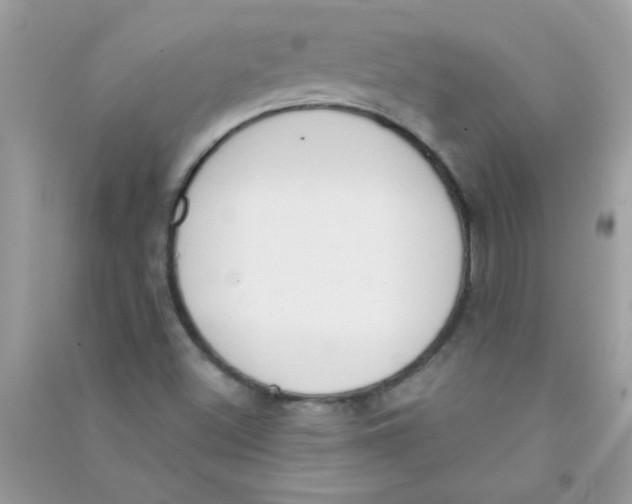 X0000090751500200708172017
