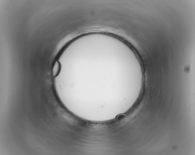 X0000090751501200708172017