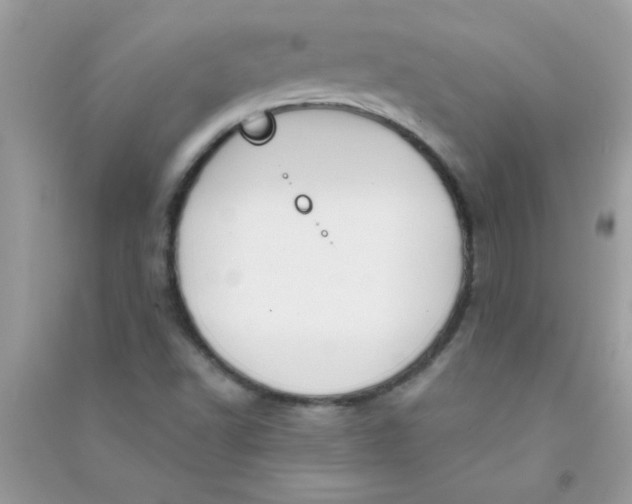 X0000090751502200708172017