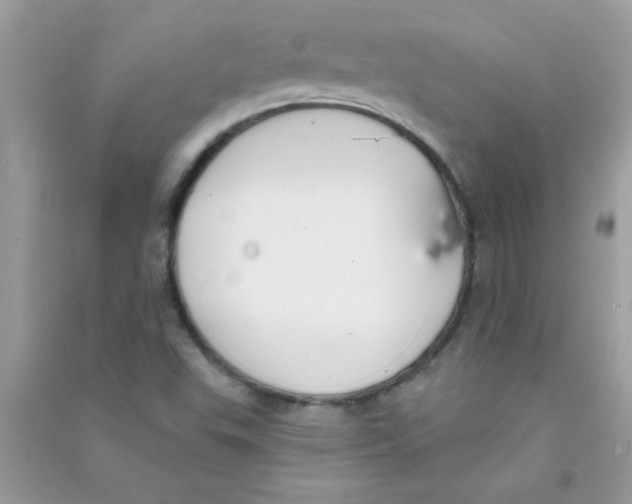 X0000090751503200708172017