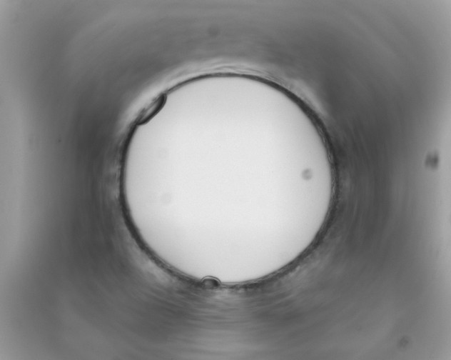 X0000090751504200708172017