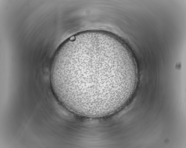 X0000090751505200708172017