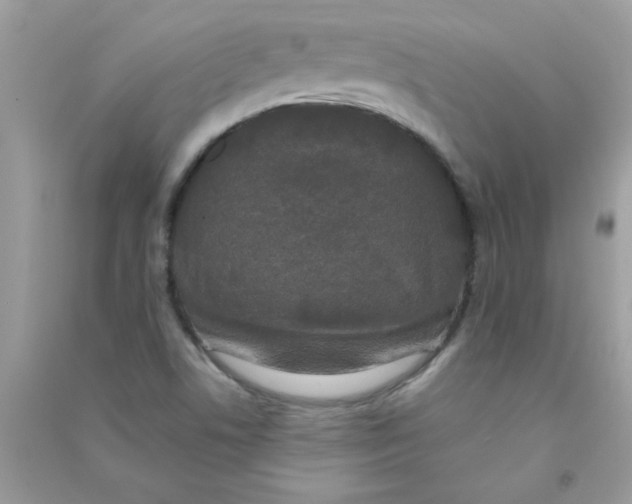 X0000090751506200708172017