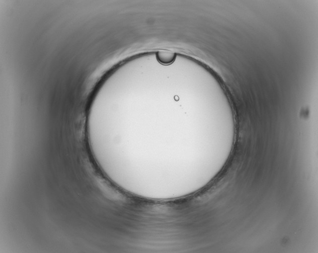 X0000090751507200708172017