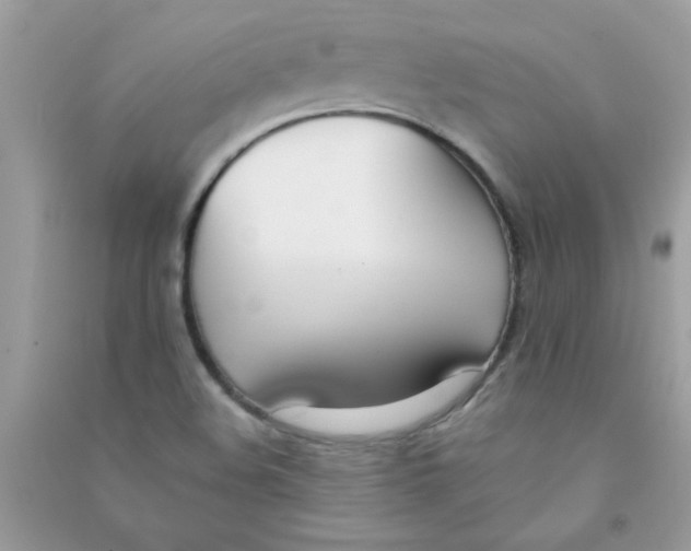 X0000090751508200708172017