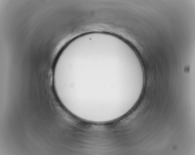 X0000090751509200708172017