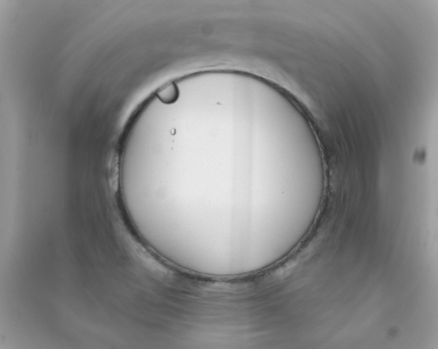 X0000090751510200708172017