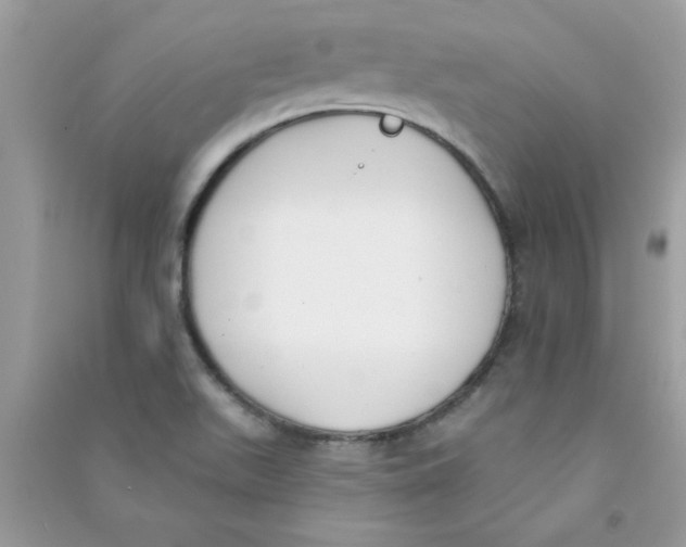 X0000090751511200708172017