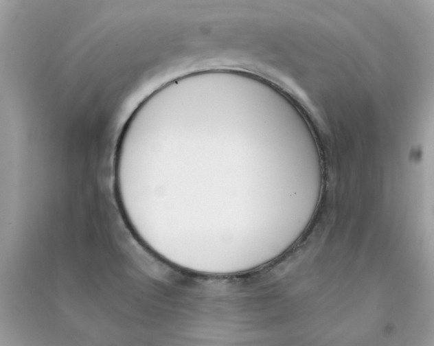 X0000090751512200708172017