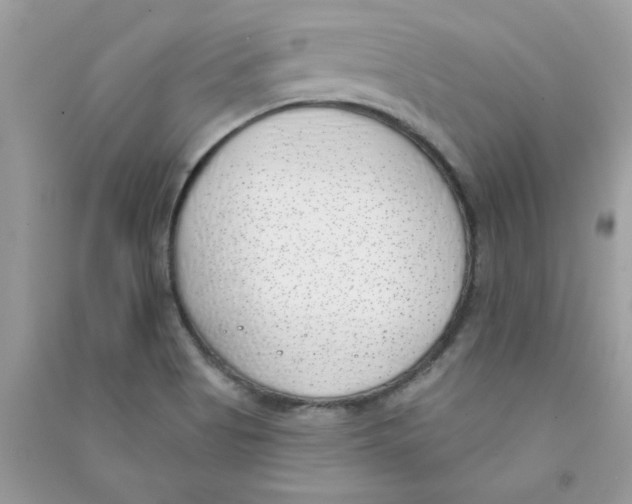 X0000090751513200708172017