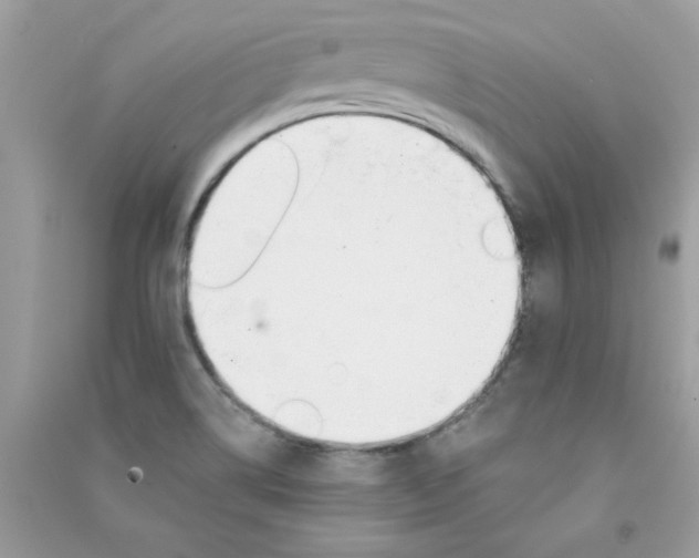 X0000090751514200708172017