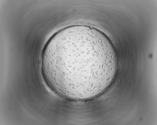 X0000090751515200708172017
