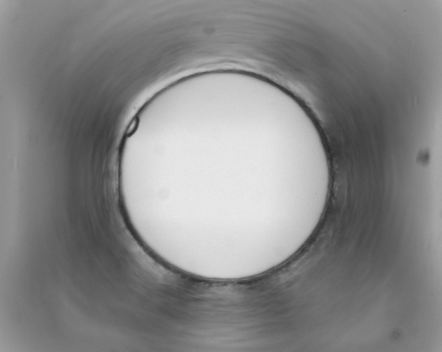 X0000090751516200708172017
