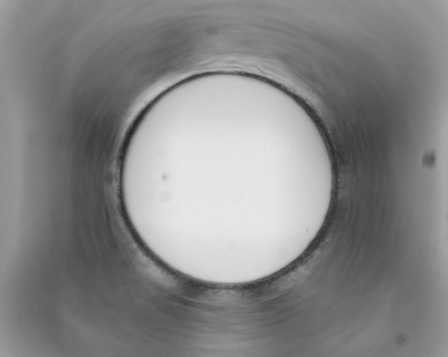 X0000090751517200708172017