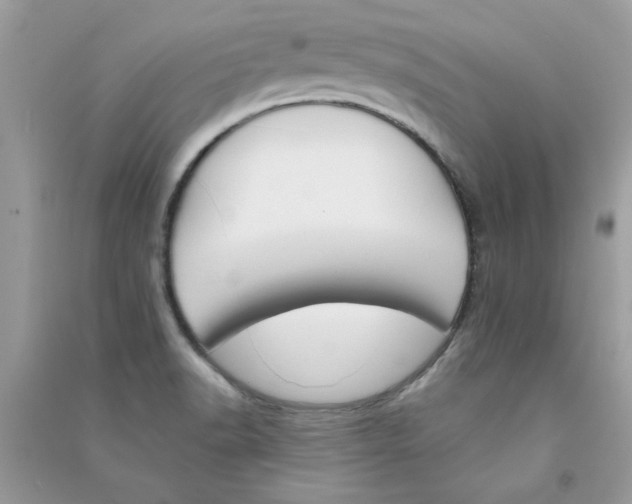 X0000090751518200708172017