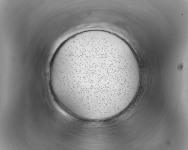 X0000090751519200708172017