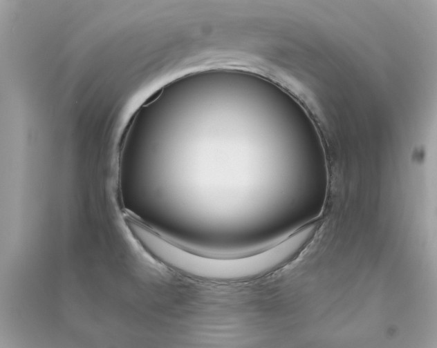 X0000090751520200708172017