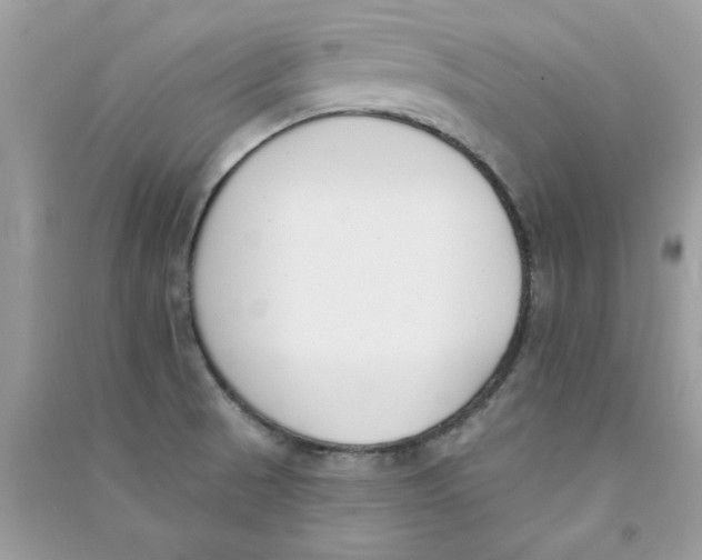X0000090751521200708172017