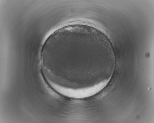 X0000090751522200708172017