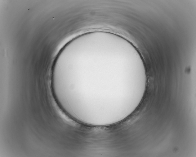 X0000090751523200708172017