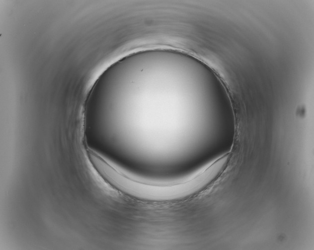 X0000090751524200708172017