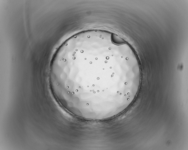 X0000090751525200708172017