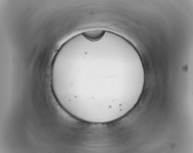X0000090751526200708172017